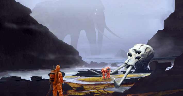Skull Beach | JACK DOWELL